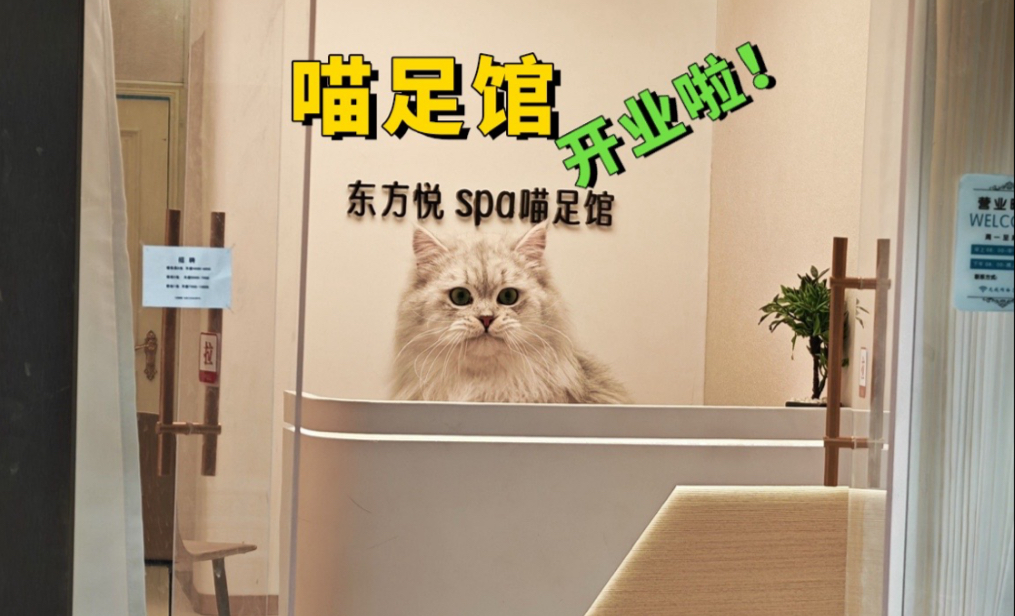 喵足馆开业啦