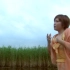 【官方MV】Rimi Natsukawa - 鳥よ
