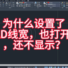 为什么设置了CAD线宽，也打开了，还不显示