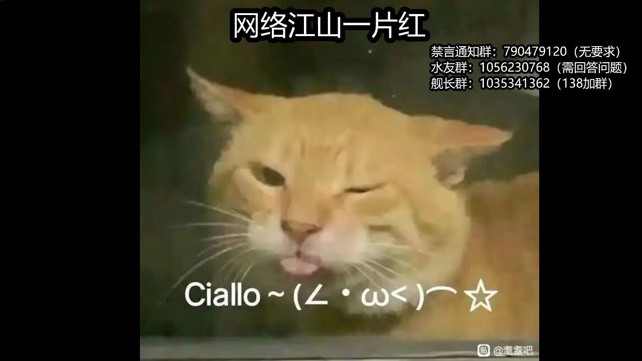 网络江山一片红