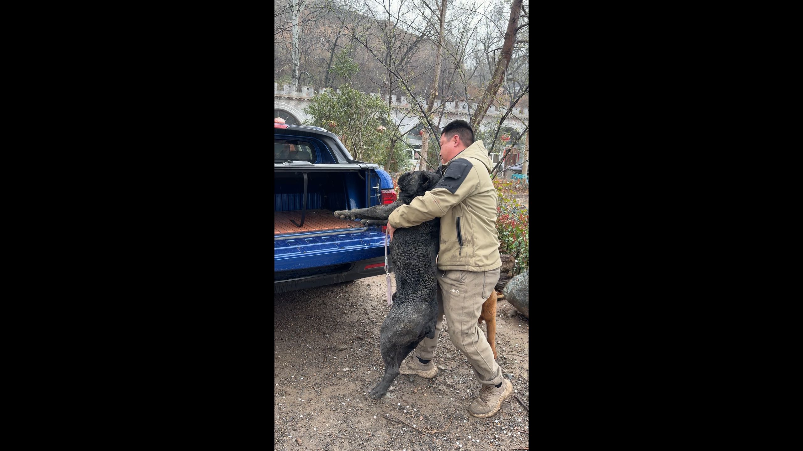 原计划先带圣圣小卡阿墩，奈何二愣太猛只能一块去了