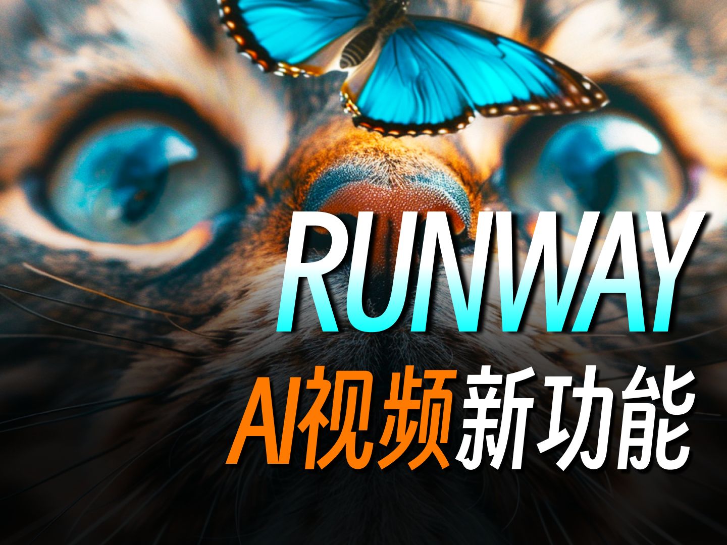 Runway最新功能【AI视频新高度】