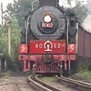 中国各地蒸汽机车
