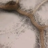【黏菌】多头绒泡菌 原生质规律往返流动