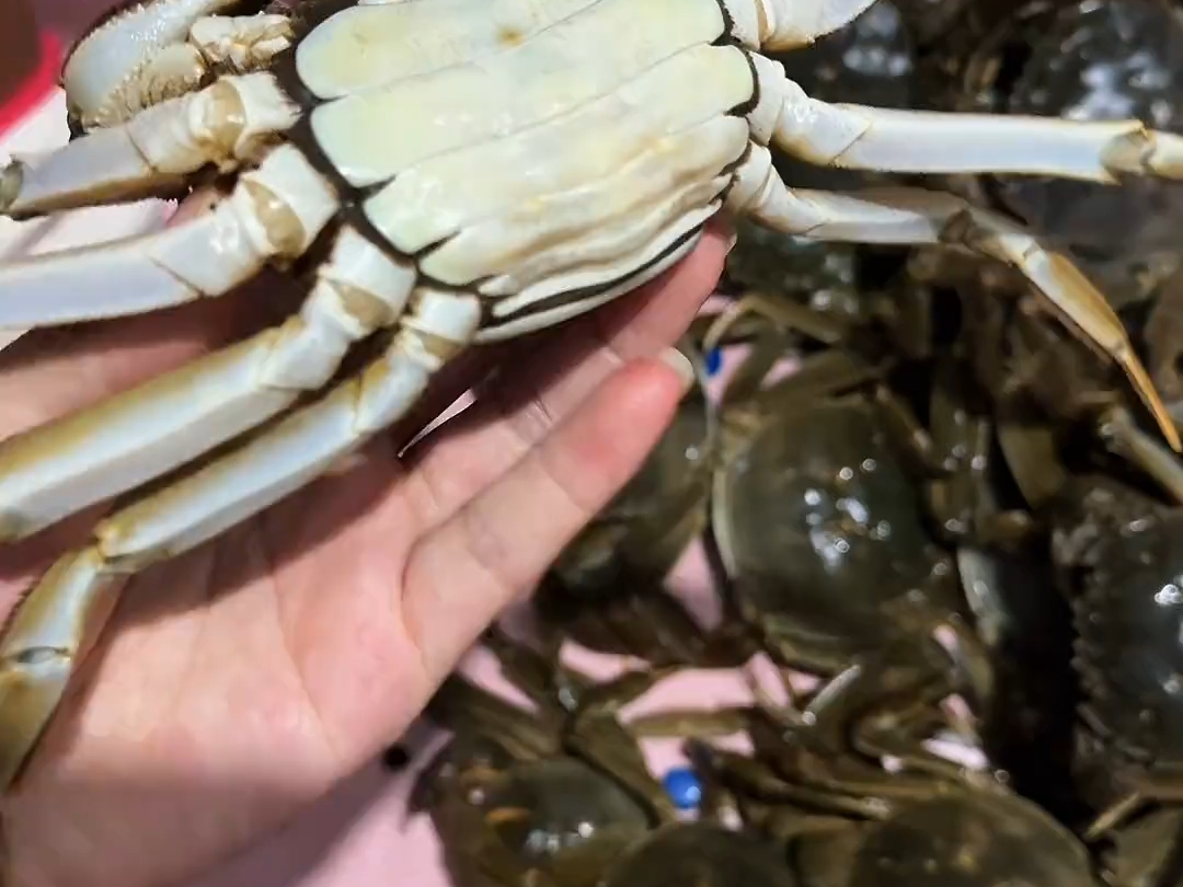 等你涨大就可以吃了