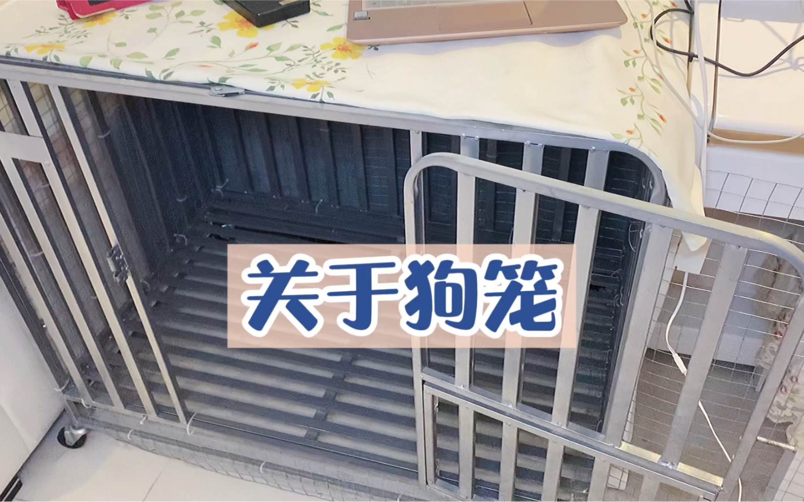 养狗经验分享：关于狗笼｜如何挑选笼子｜笼养还是散养