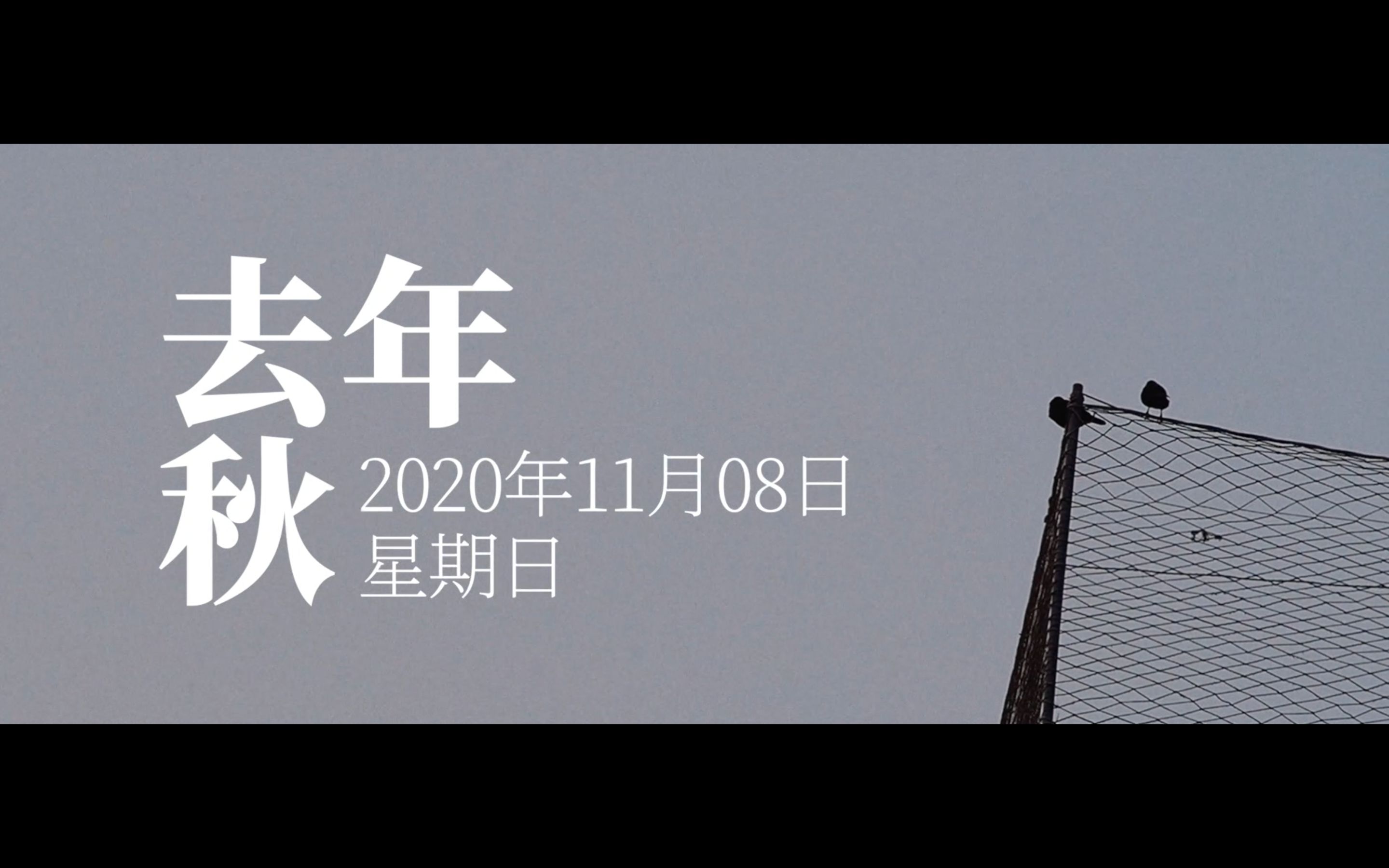 去年秋ⷦ˜Ÿ期日下午 | 20201108哔哩哔哩bilibili