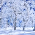 航拍4k高清风景，冬天阿拉斯加-史诗级景色