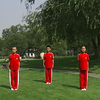 全国中小学生武术健身操-旭日东升【AI高清优化