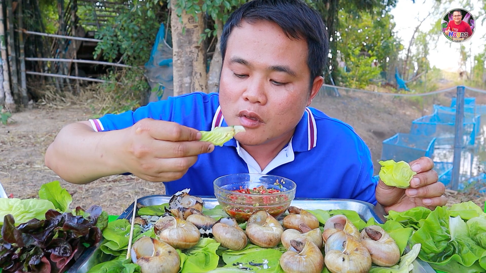 泰国嗯哼哥吃播 今天吃烤大蜗牛 蘸着酸辣酱和生菜一起吃