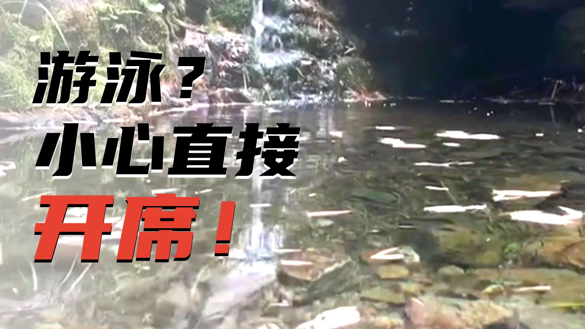 这地方我能下去游泳吗？
