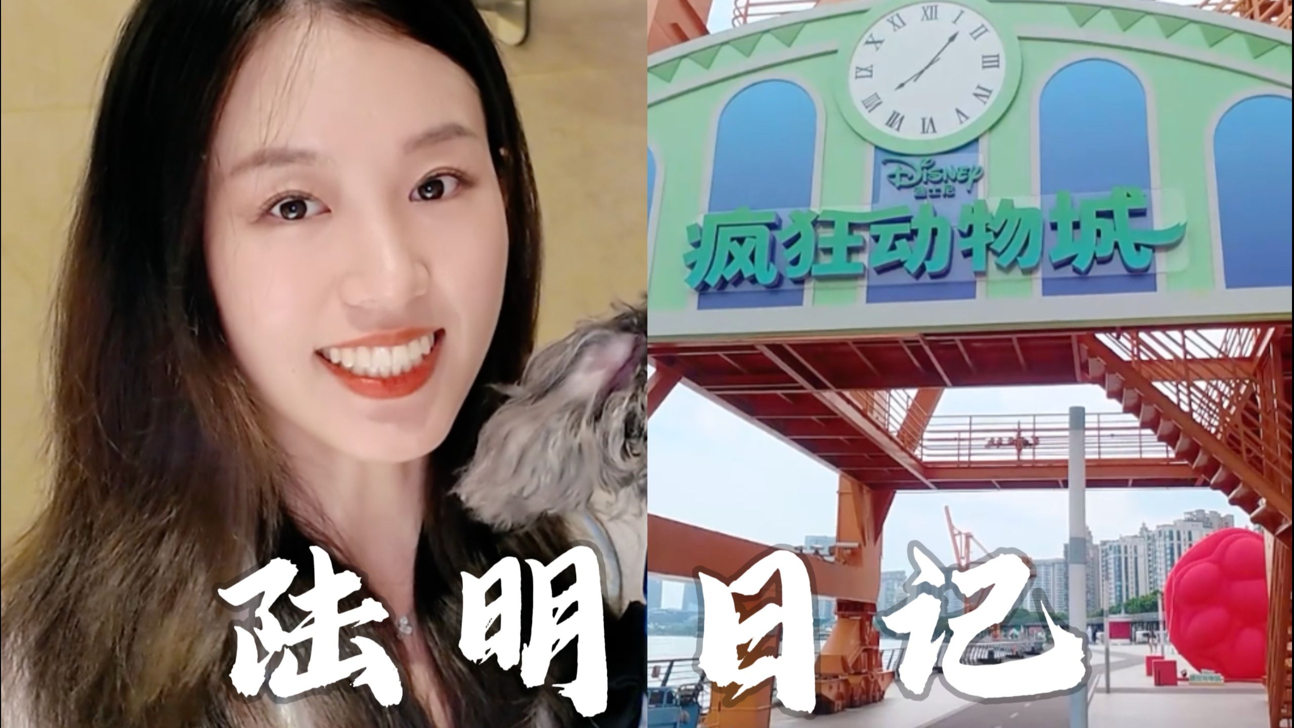 小狗Vlog|送小大七去疯狂动物城上班啦