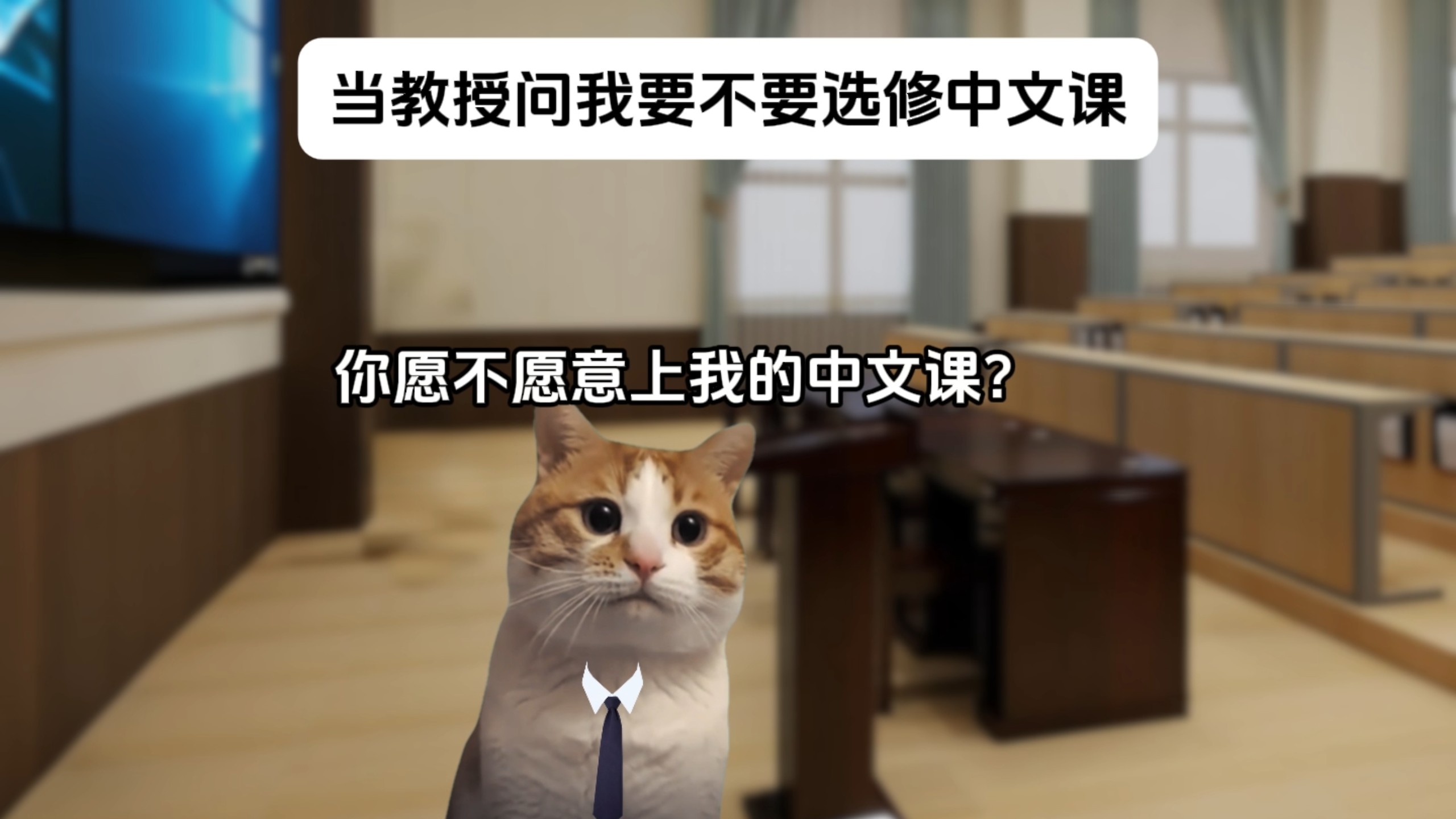 当教授问我要不要选修中文课