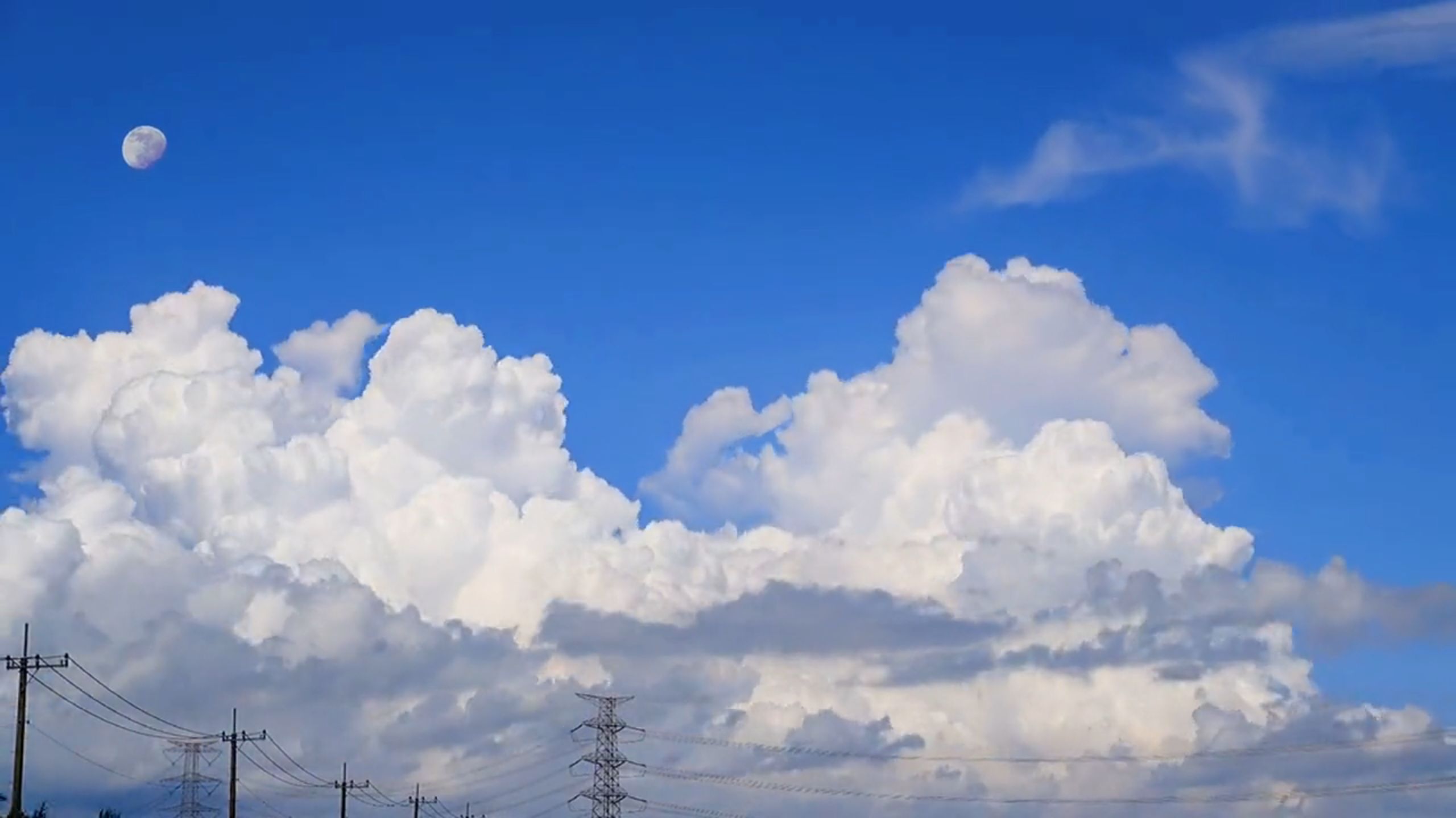“能看看你相册里夏日的云吗？”