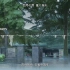【HD】《一首好聽的日語音樂》Aimer - April Showers『中日歌詞 Lyrics』