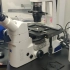 [菜鸟博士分享]AxioVertA1&zen倒置荧光显微镜显微镜 (2)