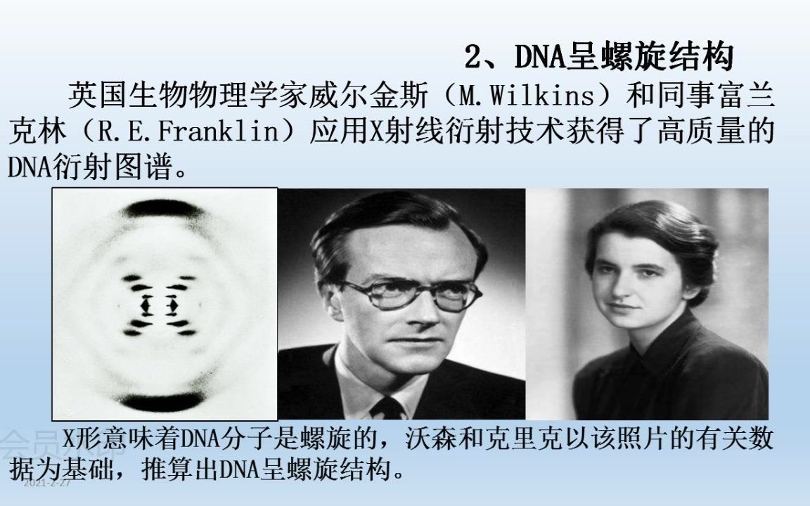 3 2 dna的结构 高中生物必修二 2019 课件 共16张ppt 0227 110247 哔哩哔哩 つロ干杯 bilibili