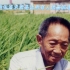 袁隆平爷爷：我有两个梦，一个是禾下乘凉梦，一个是杂交水稻覆盖全球梦