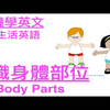 2分钟学英文｜生活常用英文｜用英文学习身体的部位单词 Body Parts｜你 RED-E 了没