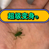 可能引人不适，请谨慎观看