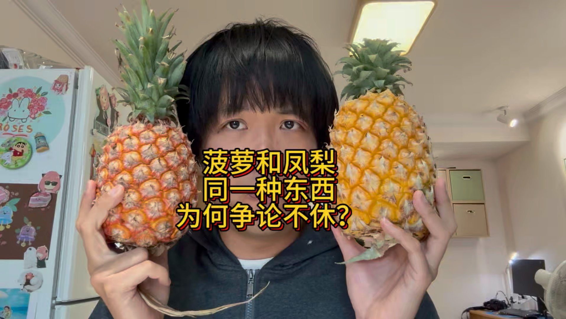菠萝和凤梨同种东西为何争论不休？ 车厘子樱桃 猕猴桃奇异果 葡萄提子 也是一种东西告诉你背后深层原因