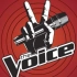 【The voice（盲选）】一到十季美国之声冠军 ALL WINNERS Auditions Seasons 1-10