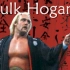 【经典回顾】AJPW Wrestling Summit 1990 Hulk Hogan vs Stan Hansen 梦
