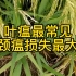 水稻种植技术分享，稻颈瘟治疗方法