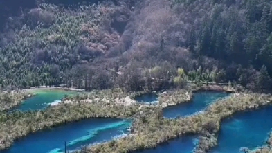 九寨沟卧龙海