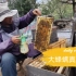 大蜂螨？实拍60多岁职业养蜂人蜂场治蜂螨！