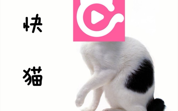 从前有一只猫,叫做“快猫”.....哔哩哔哩bilibili