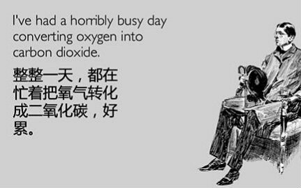 逗比人生网页游戏_逗比人生单机版_逗比人生巨乳成就攻略