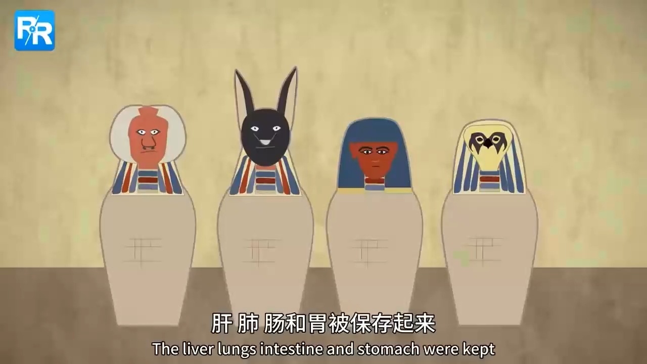 历史教学·木乃伊制作