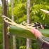 手工制作竹竿弹弓，有趣的创意DIY