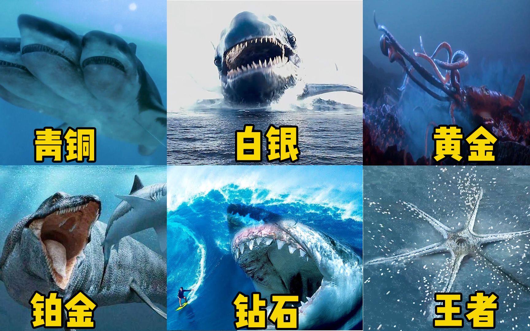 假如海洋掠食者有段位，鲨鱼成了食物链底端生物，巨齿鲨血盆大口