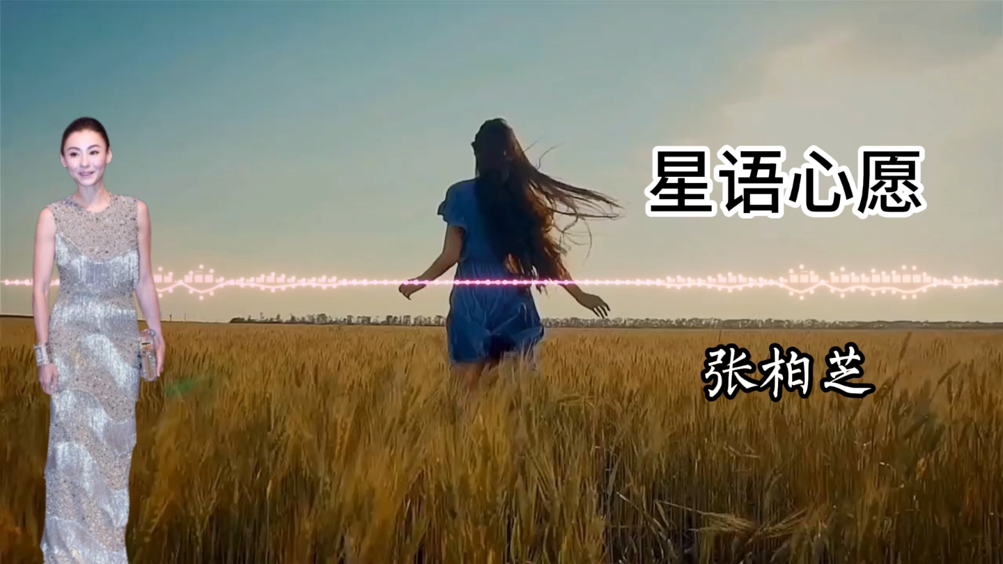 张柏芝—星语心愿（无损音质）
