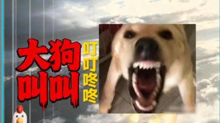 可观测宇宙最爽的大狗叫” 🐶《slow down》🐔