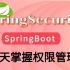 SpringSecurity框架教程（spring security源码剖析从入门到精通）springsecurity+