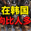 韩国人口危机，第二大城市釜山进入“消失阶段