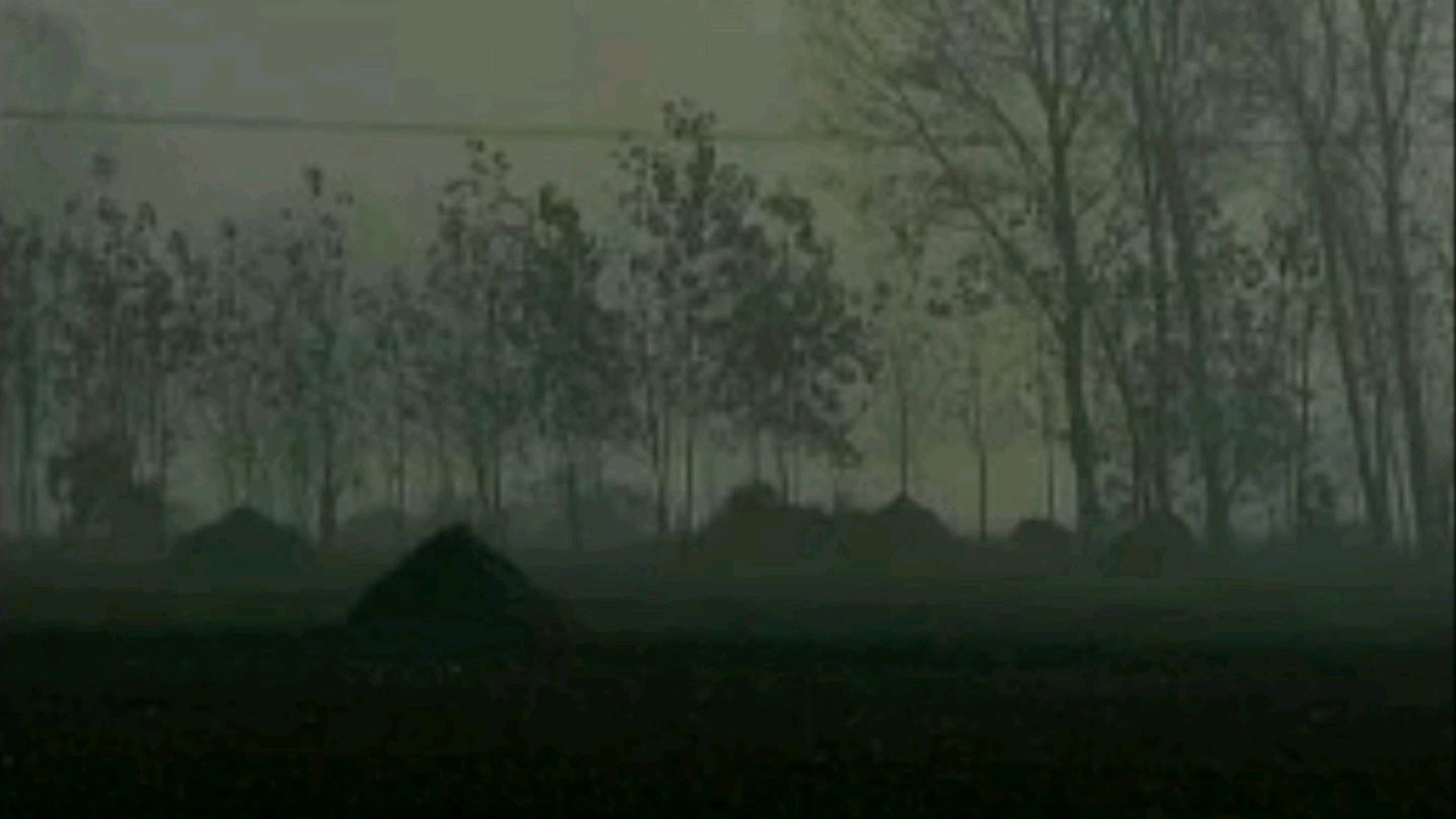 【鬼核|Ghostcore】野坟在無聲哭泣