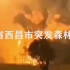四川省西昌市突发森林火灾3月30日视频记录01集
