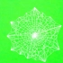 绿幕视频素材蜘蛛网