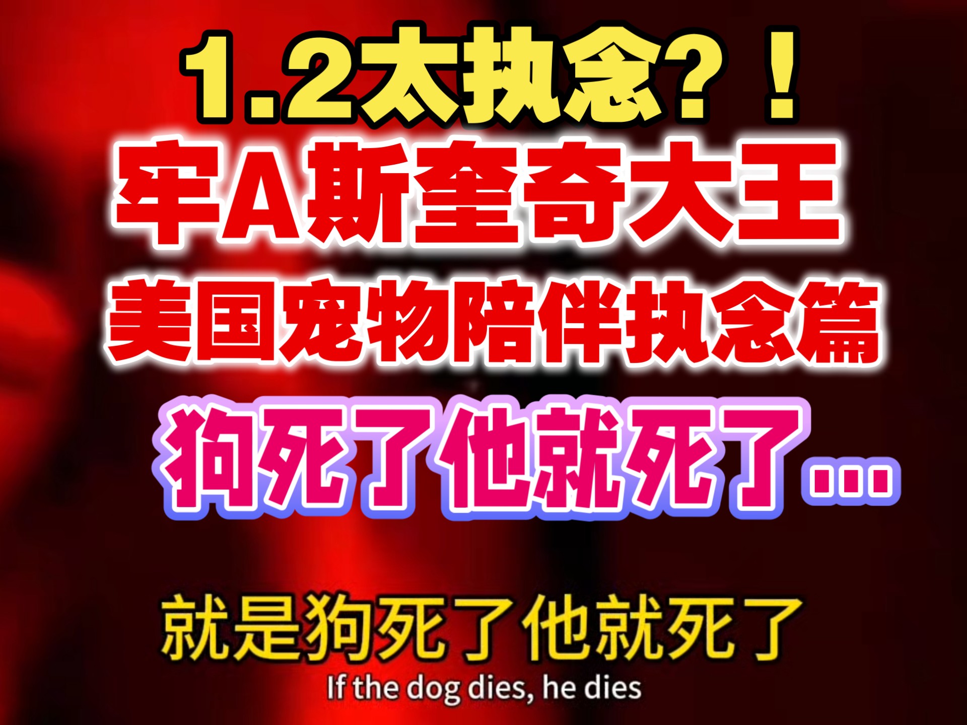 1.2太执念？！牢A斯奎奇大王⚠️美国宠物陪伴执念篇⚠️san值暴跌⚠️太地狱了⚠️谨慎观看！