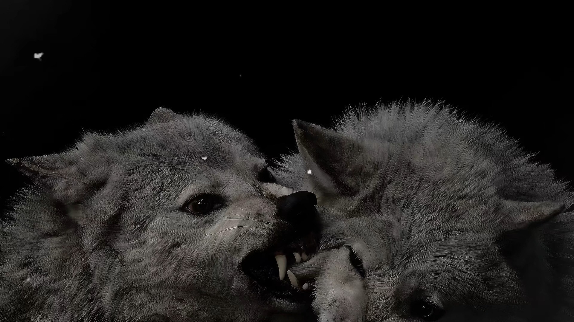 【NOCTURNUM.】自用，亲测强到没边了…｜痴恋咒：危险而专属的执念 | 当TA的世界，只剩下你