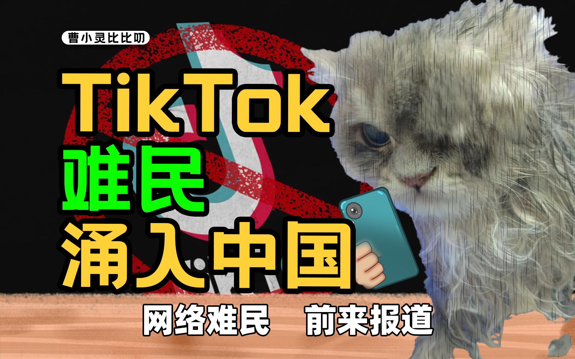 TikTok，能活下来么？