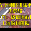 左上肺叶切除术(20多分钟) 无剪辑 杨运海教授讲解