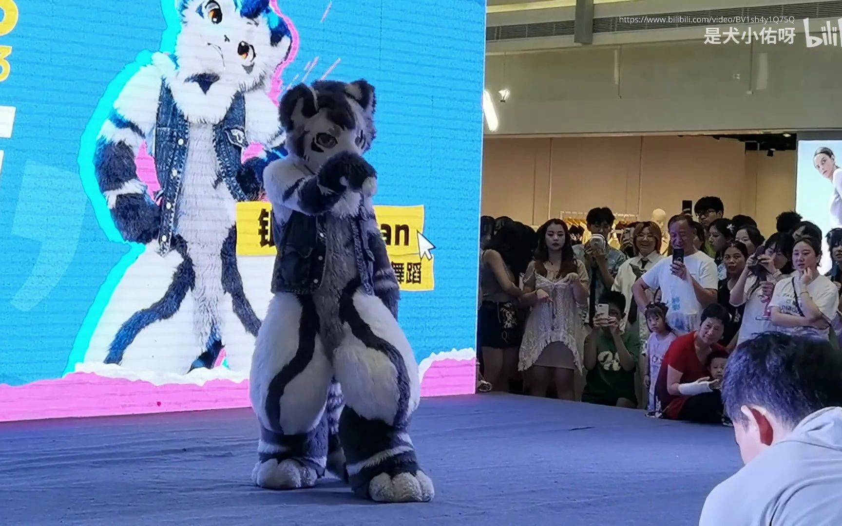 【银碳, 兽装舞蹈】2023年8月13日南京的随机舞蹈活动 - 展示银碳Gintan在活动中参与的部分。