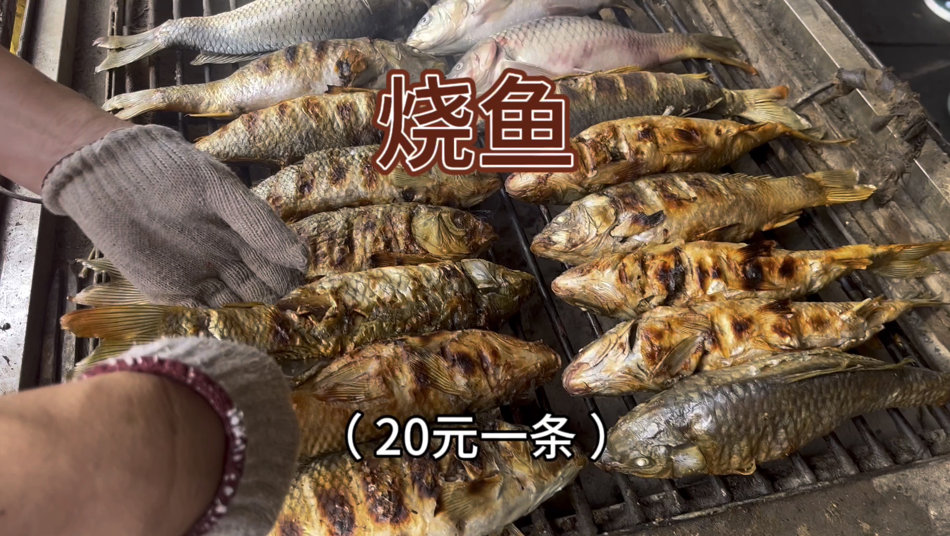 在榕江吃到了烧鱼不用去鱼鳞直接烤
