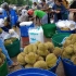 中国减少榴莲进口量，越南榴莲价格暴跌40%，当地7.3元钱一斤