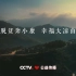 《幸福大凉山》CCTV公益宣传片